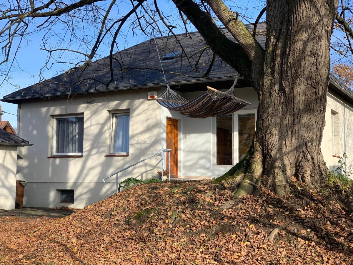 Вилла Ned Haus Feldkirchen bei Graz Экстерьер фото